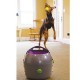 Lanzador automático de pelotas