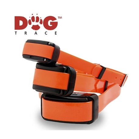 Collares educativos adicionales para Dogtrace Pro