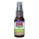 Kong Naturals Catnip en spray para gatos