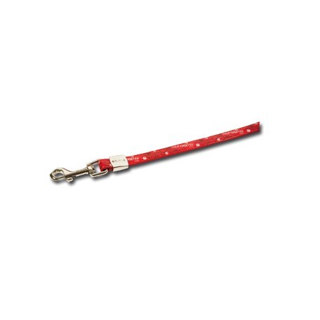 Correa para perros Envy de nylon rojo