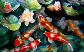 Todo lo que necesitas saber para alimentar a los peces de tu acuario