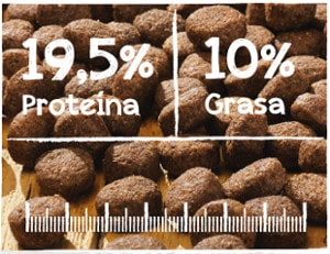 Tamaño de croqueta de Belcando Senior Sensitive